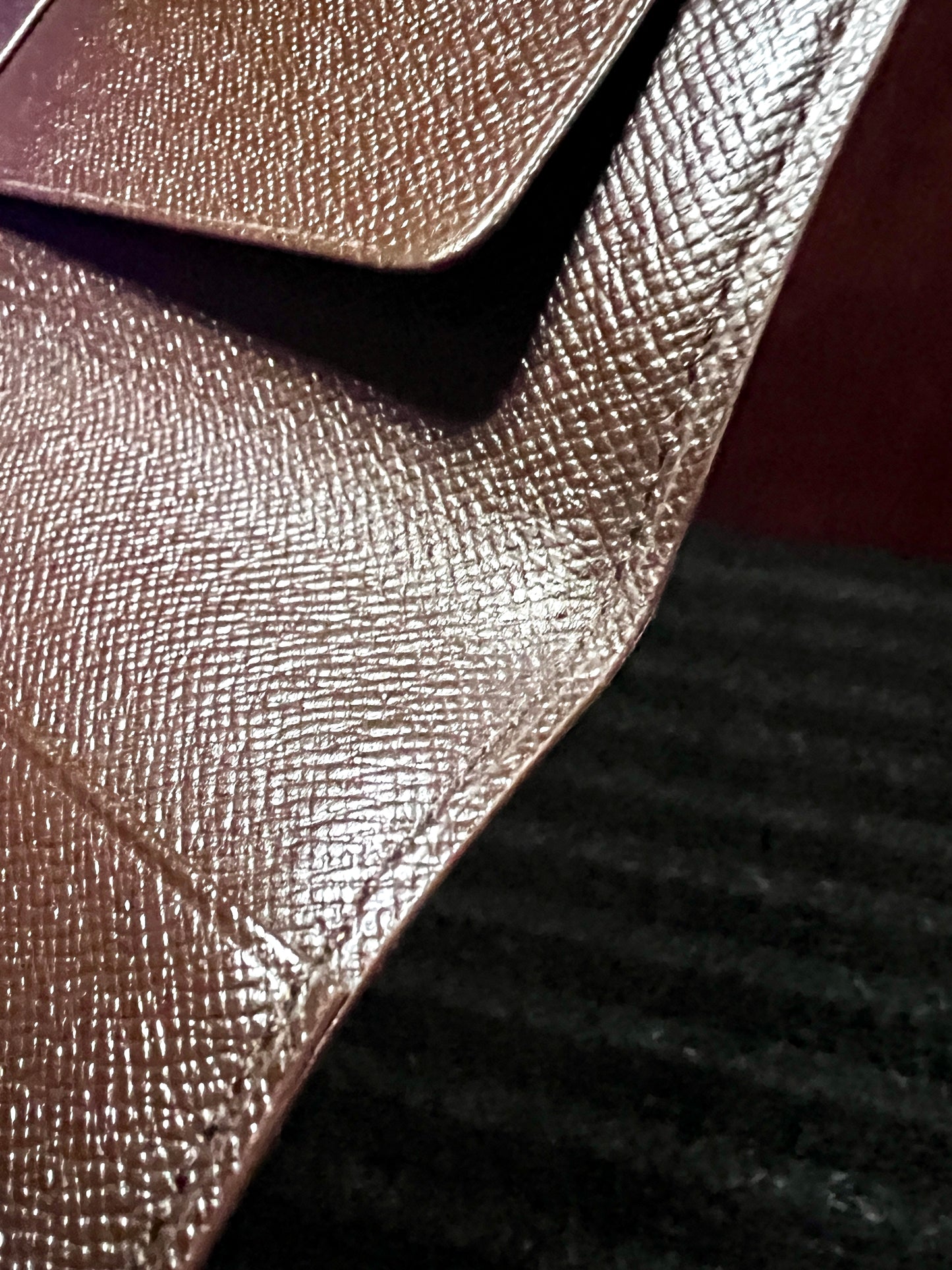 PASSPORT HOLDER DAMIER