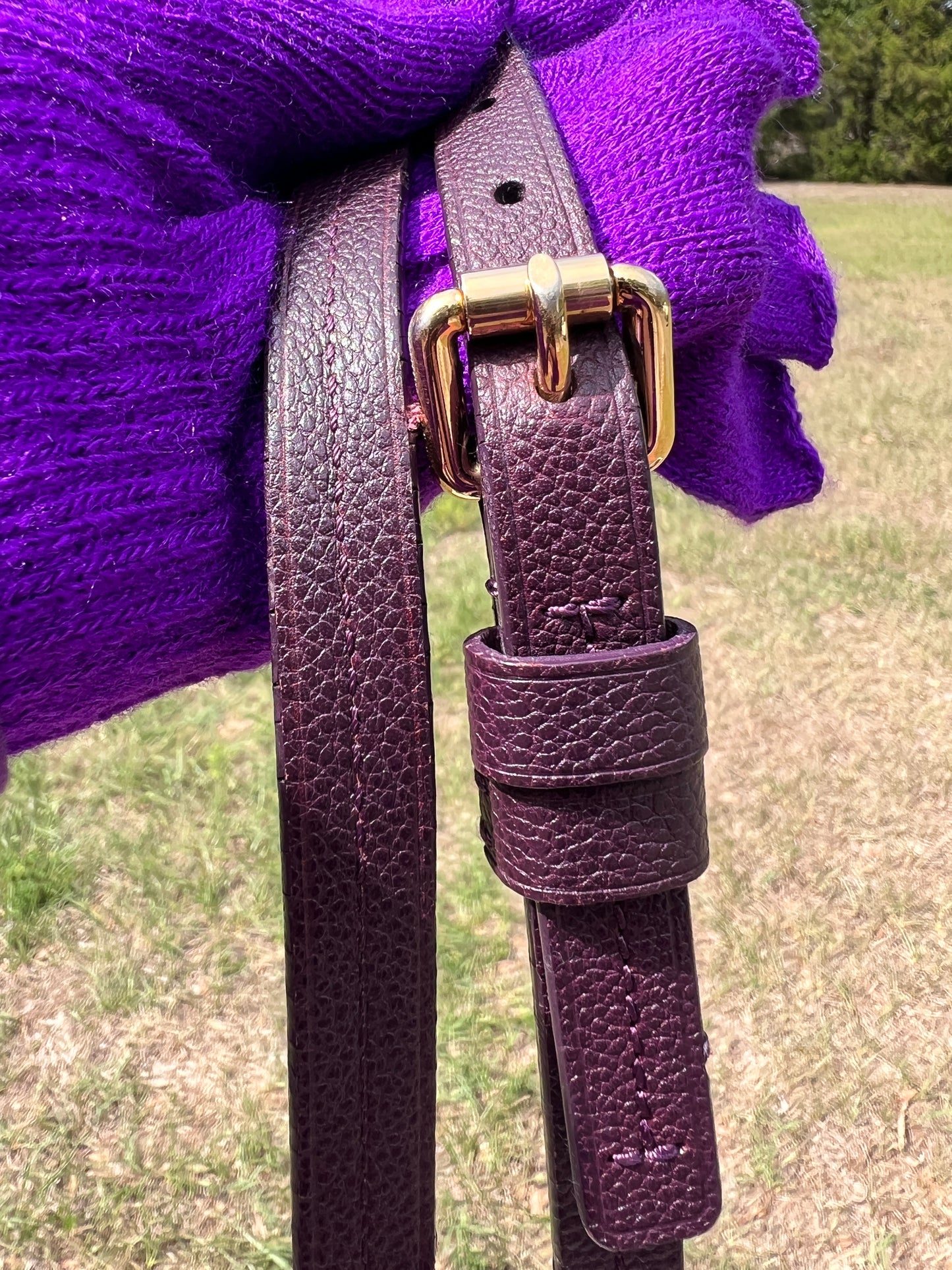 LUMINEUSE EMPRIENTE PURPLE PM