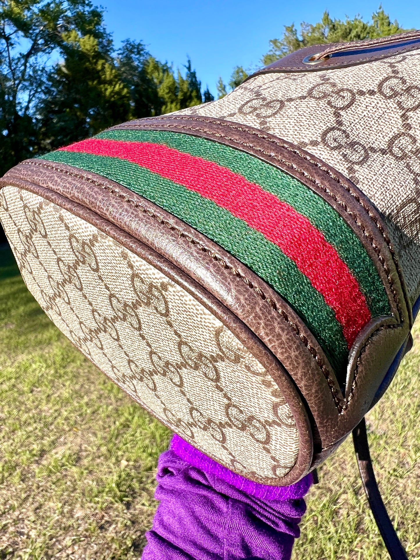 BUCKET BAG MINI OPHIDIA