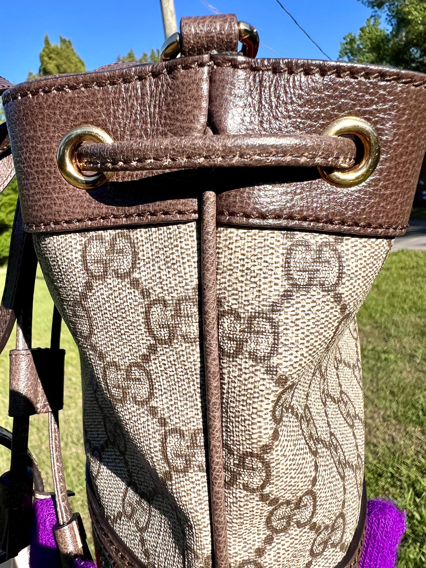 BUCKET BAG MINI OPHIDIA