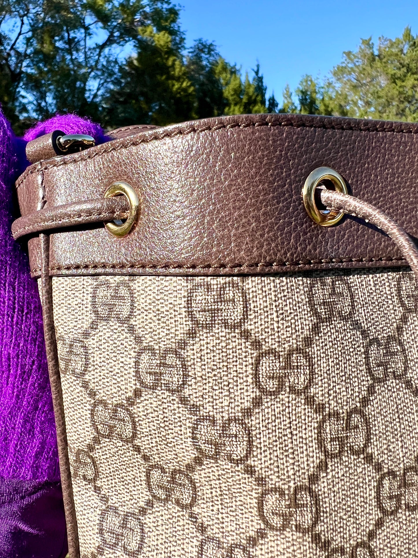 BUCKET BAG MINI OPHIDIA