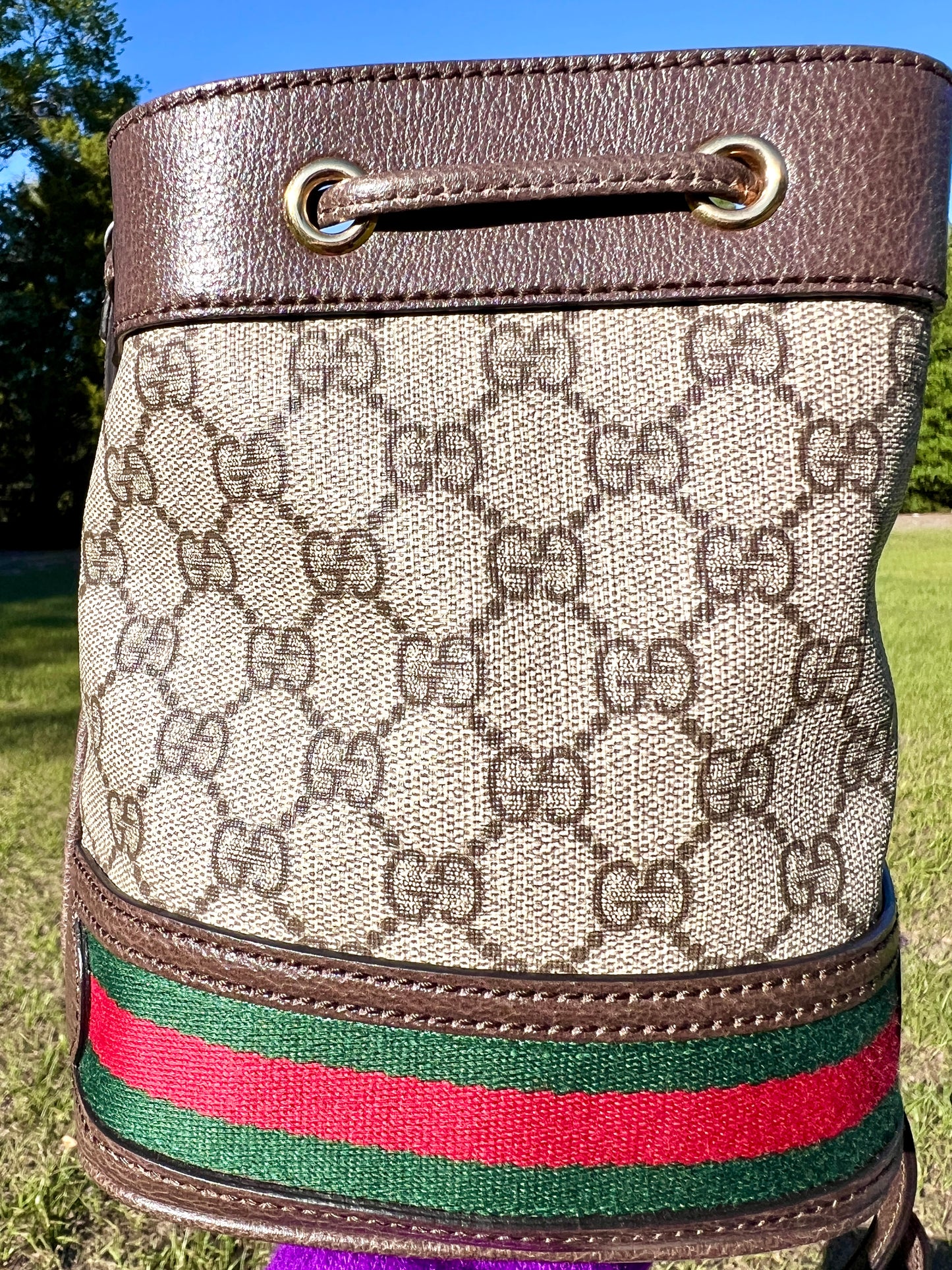BUCKET BAG MINI OPHIDIA