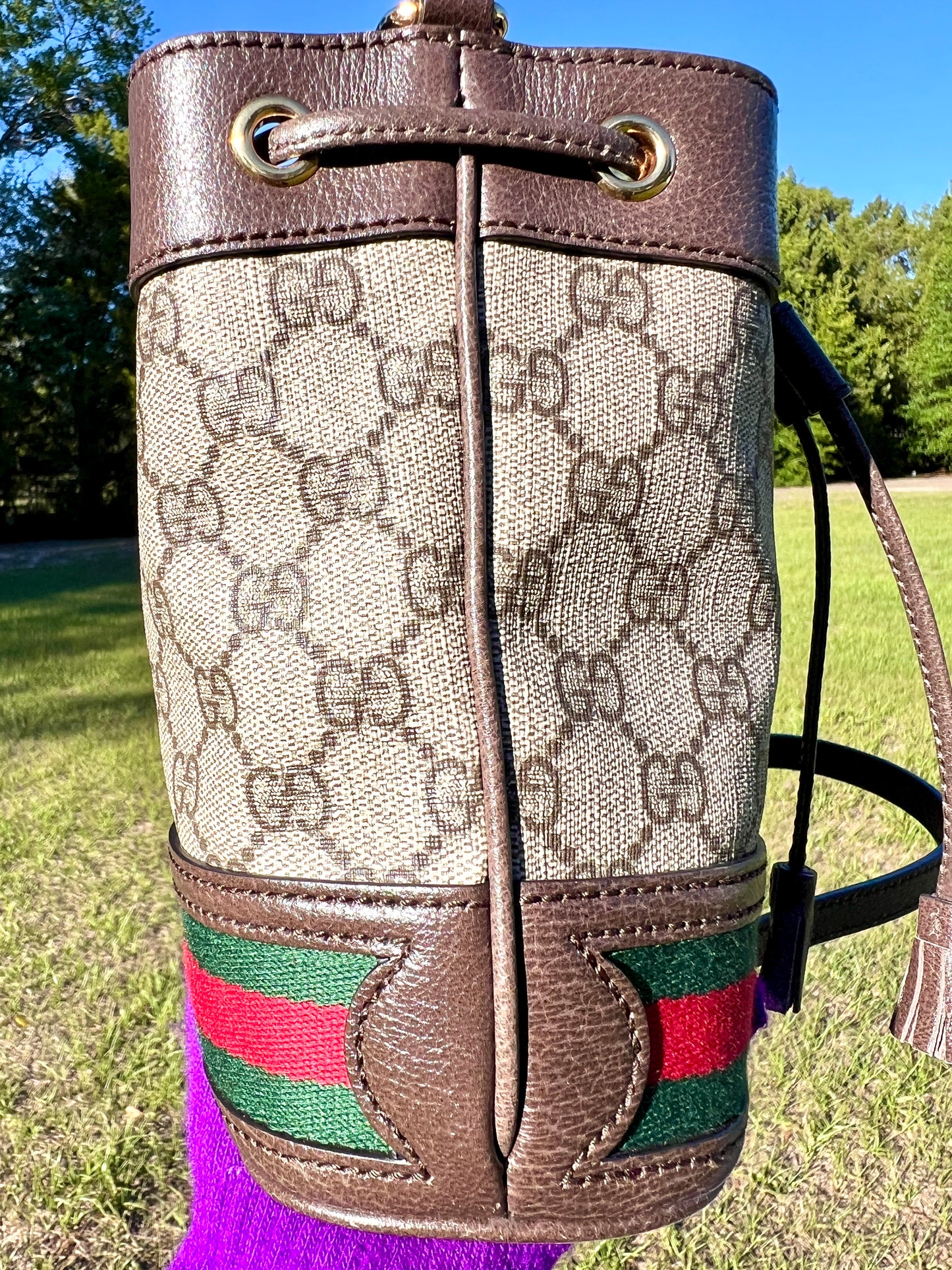 BUCKET BAG MINI OPHIDIA