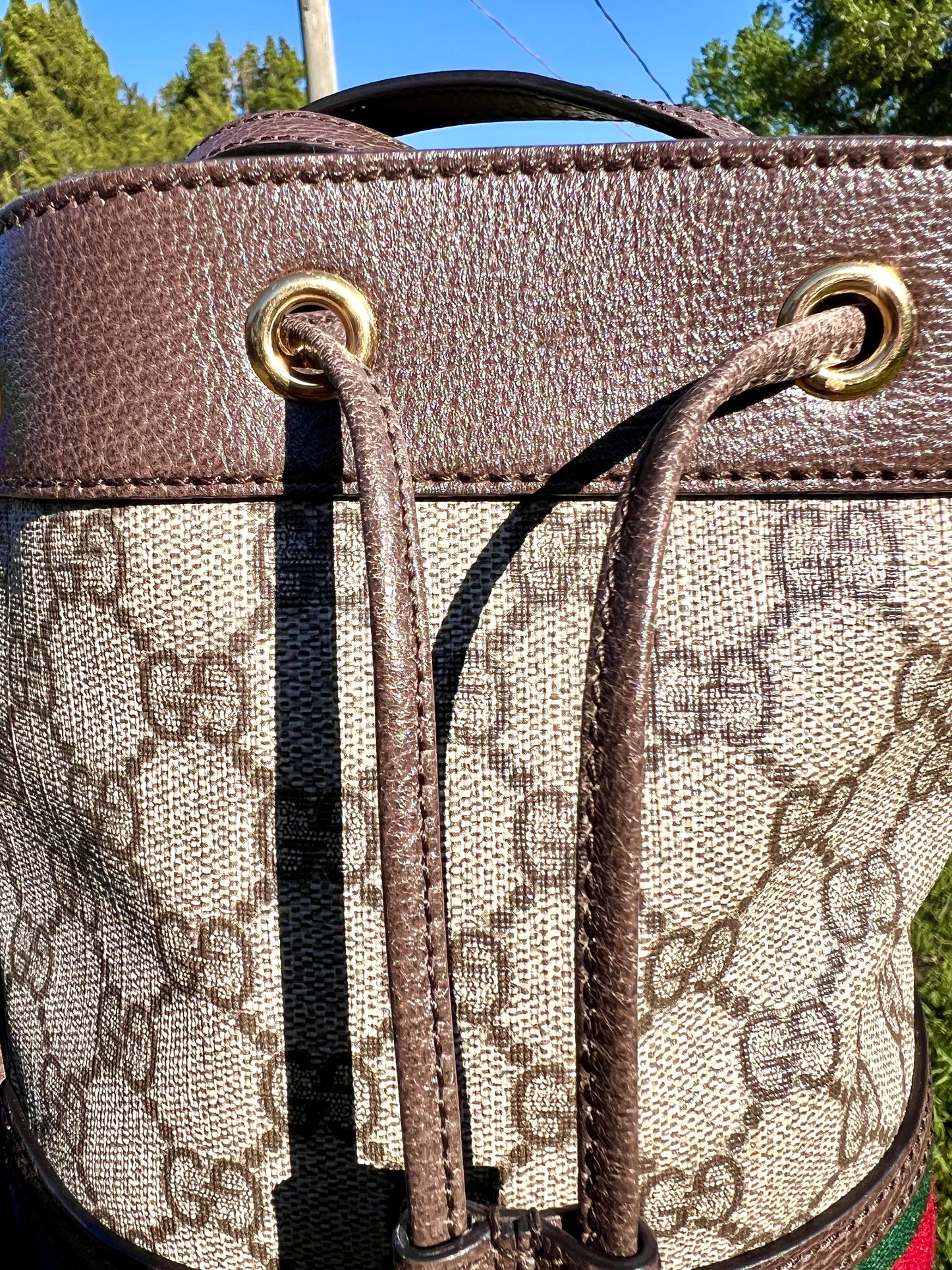 BUCKET BAG MINI OPHIDIA