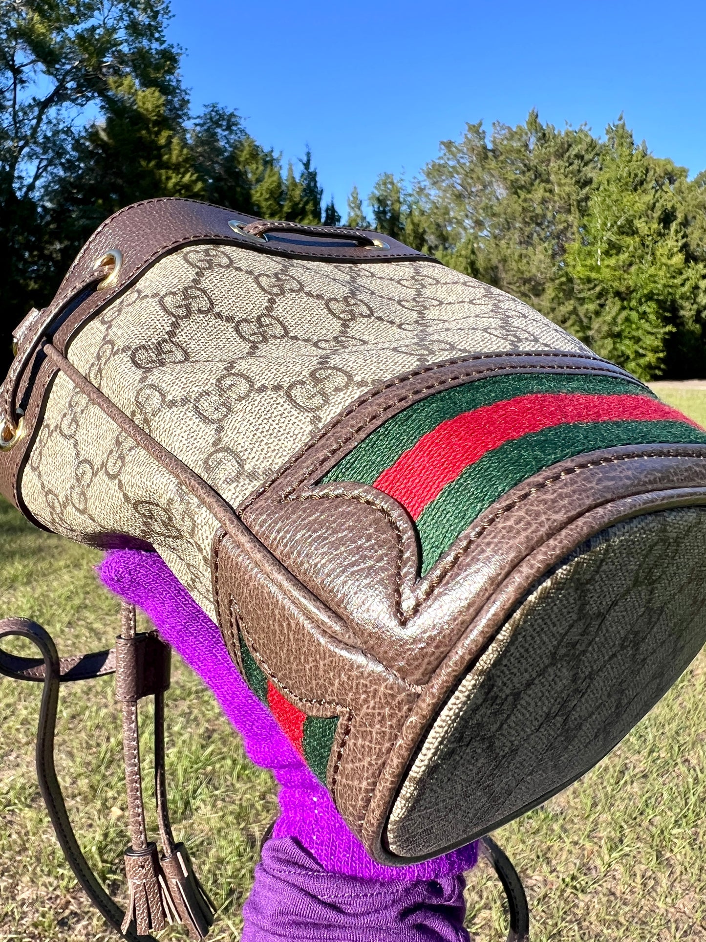 BUCKET BAG MINI OPHIDIA