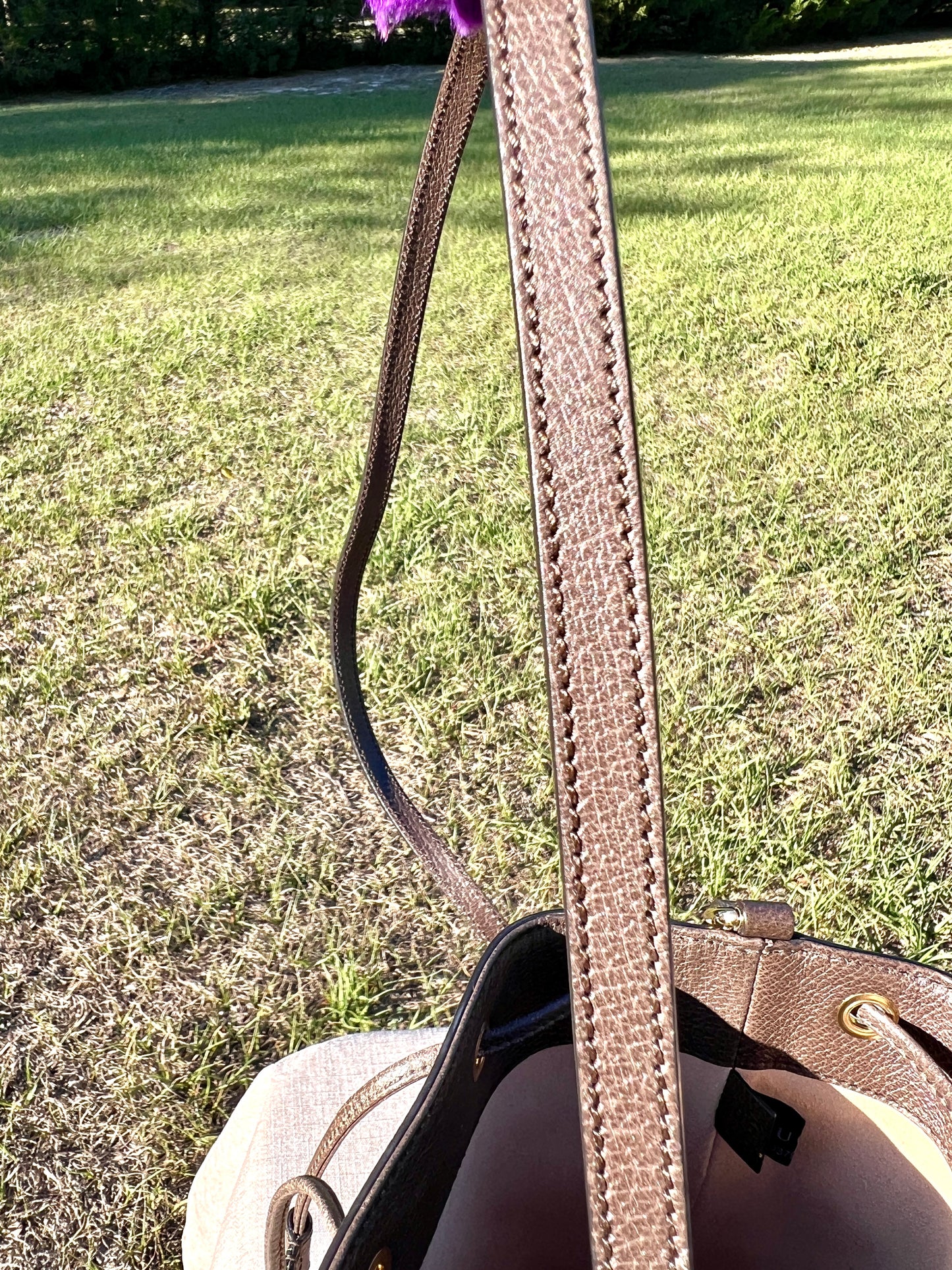 BUCKET BAG MINI OPHIDIA