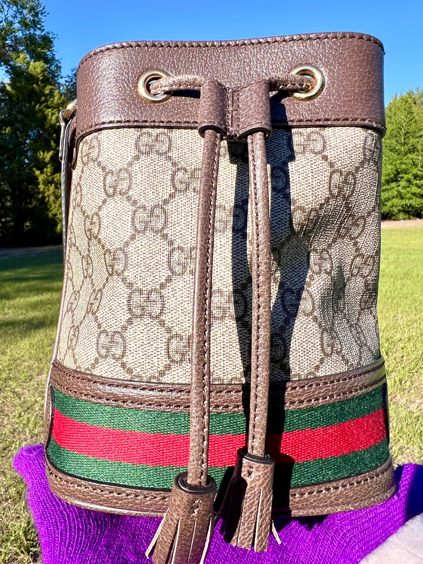 BUCKET BAG MINI OPHIDIA