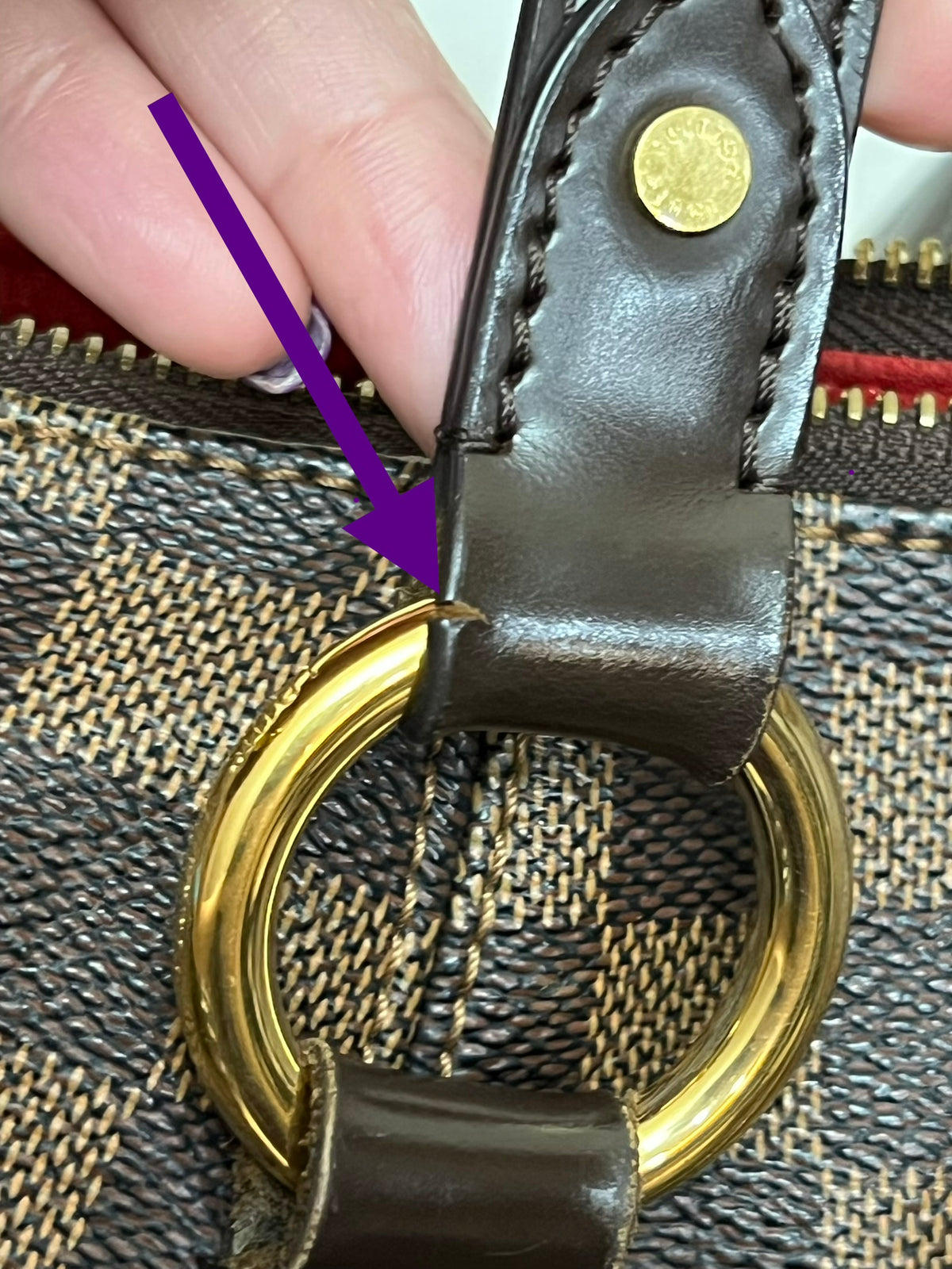 EVORA MM DAMIER