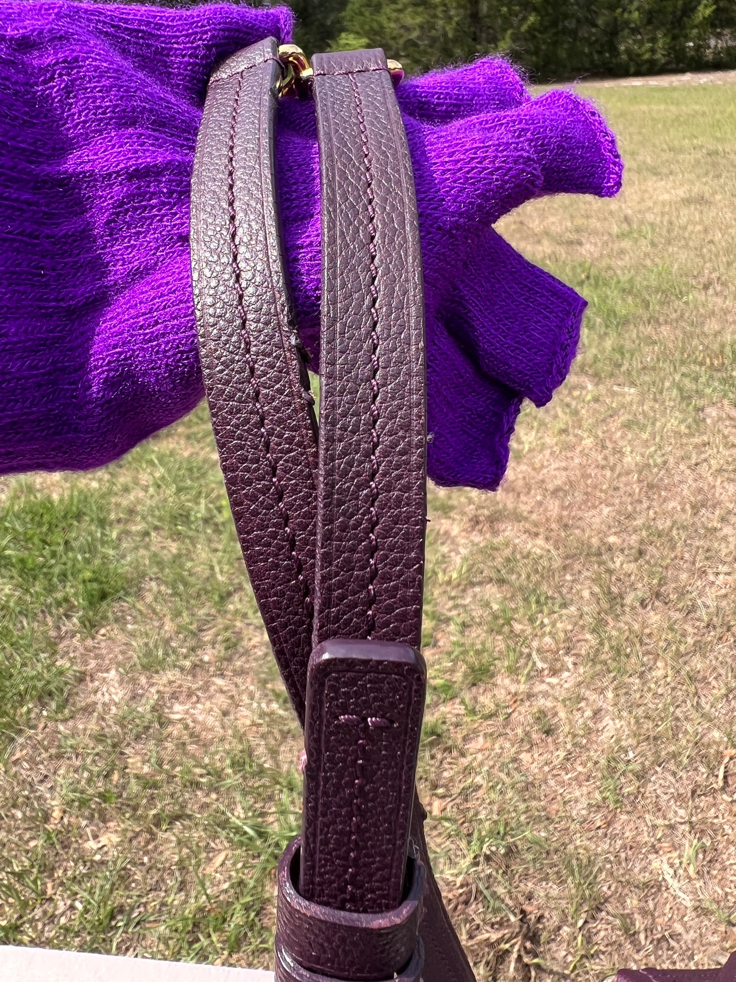 LUMINEUSE EMPRIENTE PURPLE PM