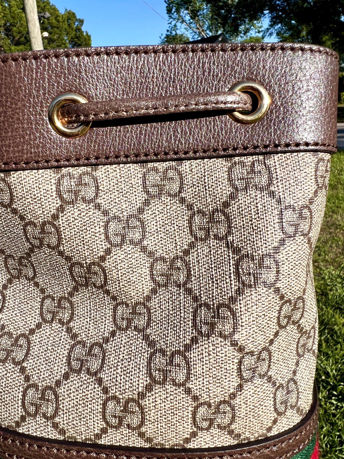 BUCKET BAG MINI OPHIDIA