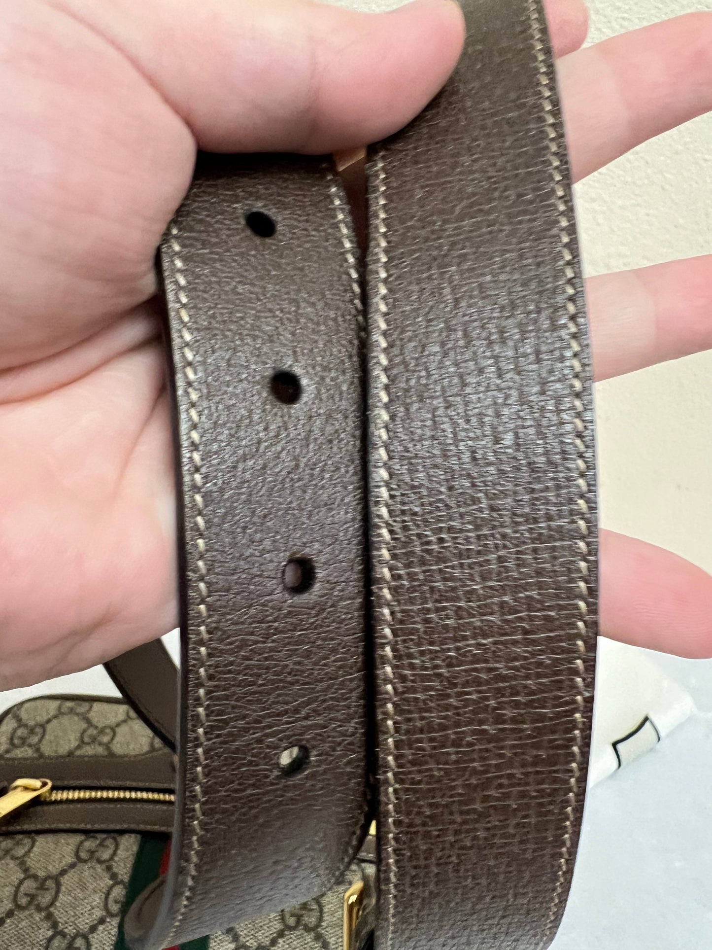 SUPREME OPHIDIA BELTBAG