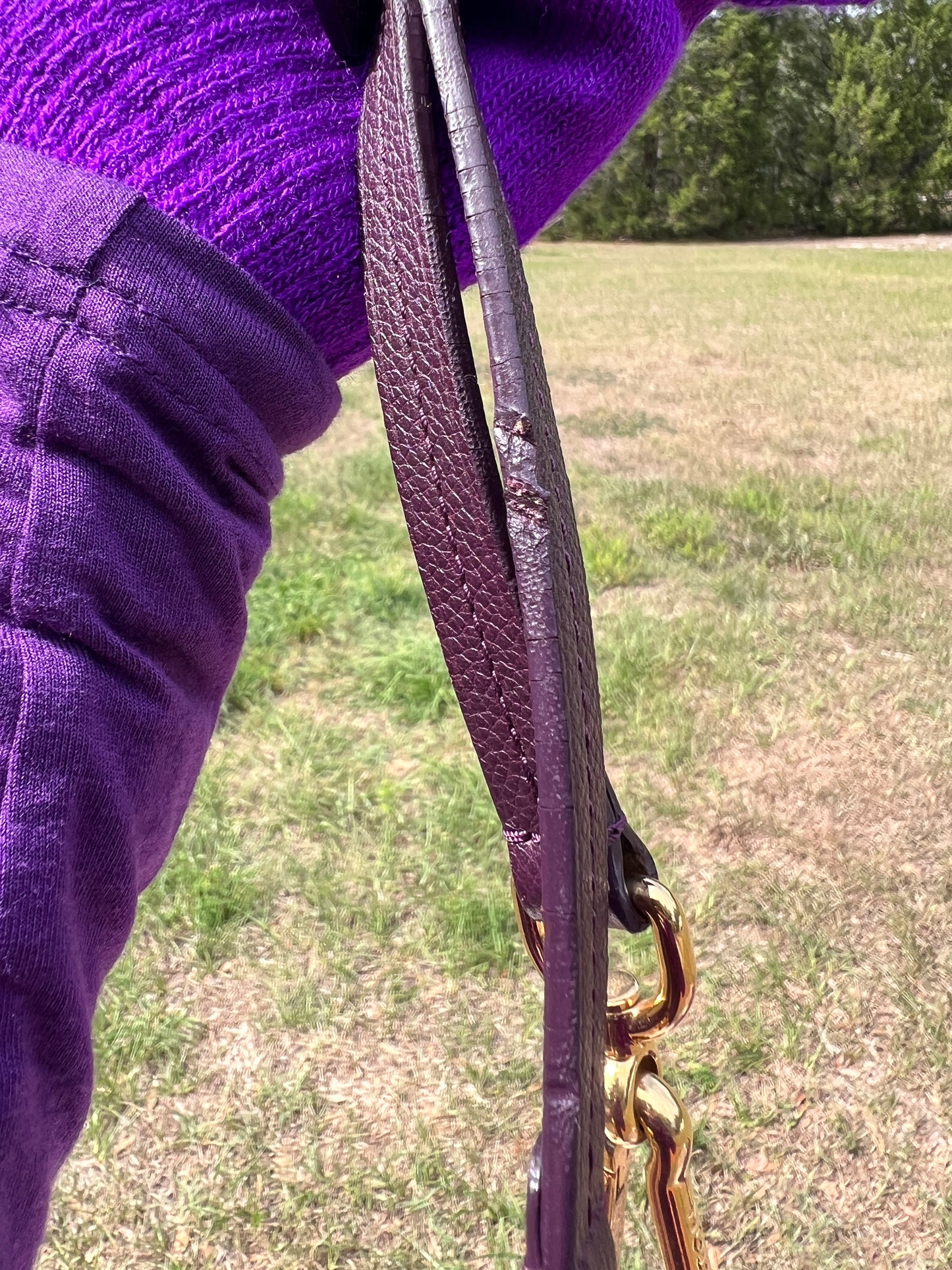 LUMINEUSE EMPRIENTE PURPLE PM