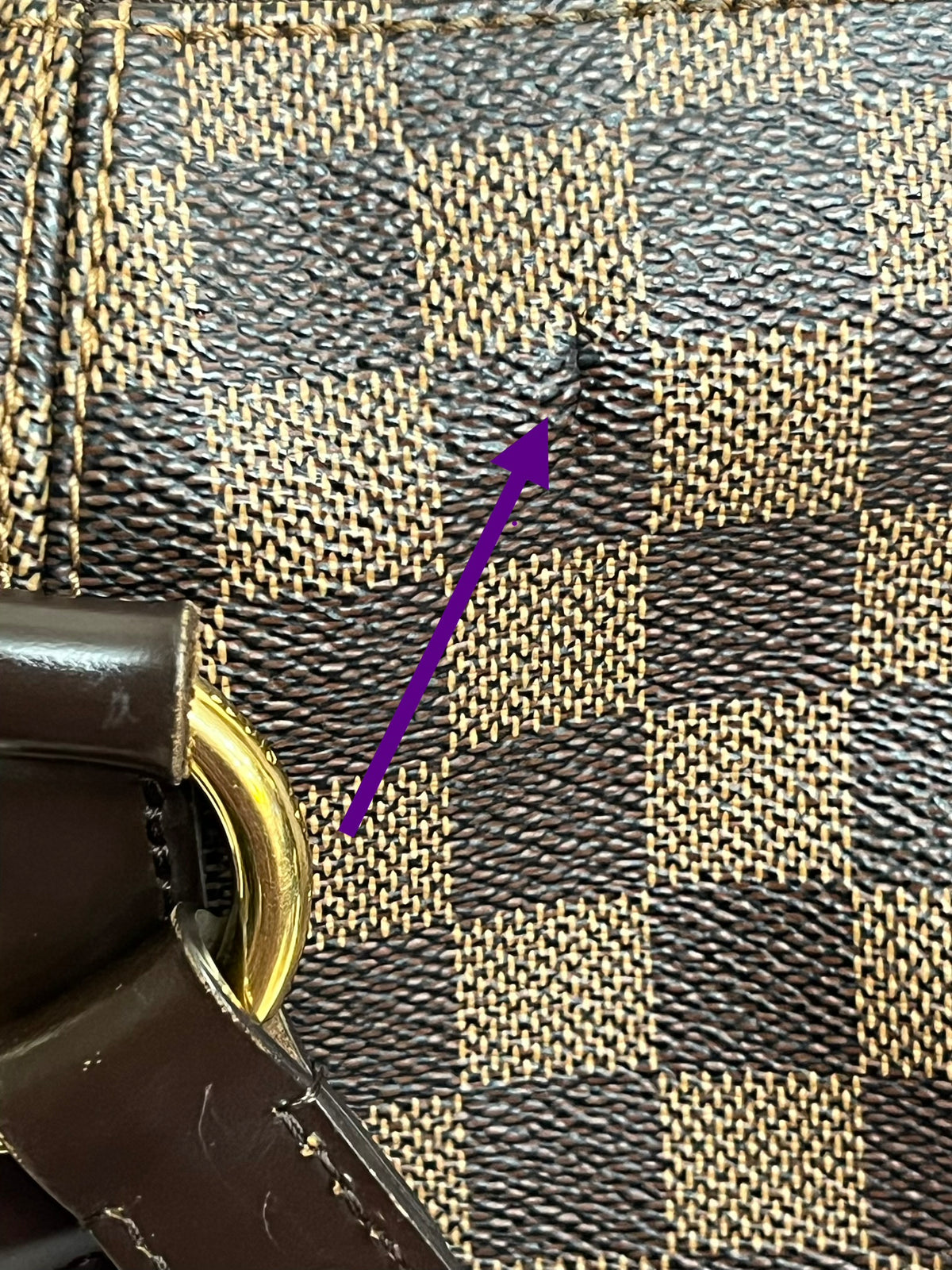 EVORA MM DAMIER